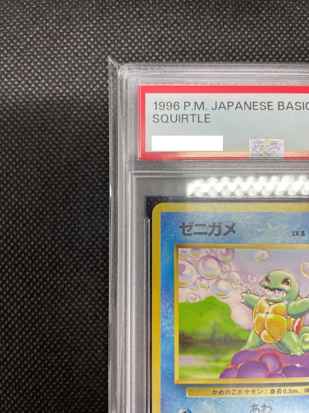 【PSA10】ポケモンカード 旧裏面 ゼニガメ LV.8 ポケカ 拡張パック第1弾 1996 初期