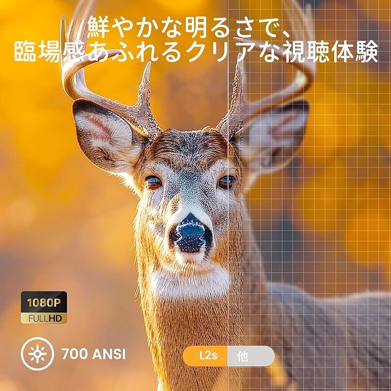 ホームプロジェクター 天井吊り可