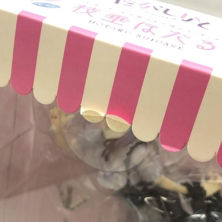 箱日焼け有 枝垂ほたる