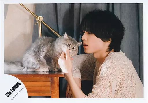 SixTONES 松村北斗 公式写真 124枚 SixTONES 松村北斗 公式写真 SUMMARY2012 【公式通販】