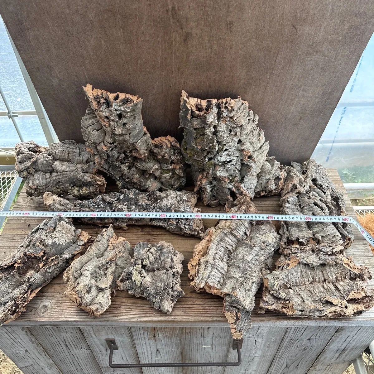 資材 Ａセット コルクセット 10枚入り 4キロ コルク 板 板付 コウモリラン ビカクシダ 着生ラン ラン 観葉植物 観葉 植物 塊根植物 塊根 コーデックス 着生植物 着生 シダ植物 シダ エアプランツ エアープランツ チランジア ブロメリア おうち時間