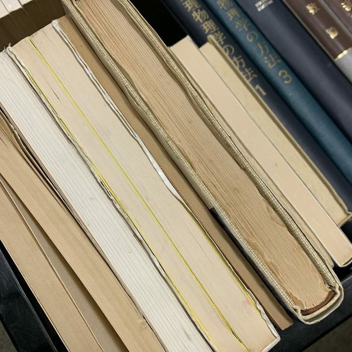 数学関係書籍 まとめて63冊セット 岩波講座基礎数学 ホモロジー