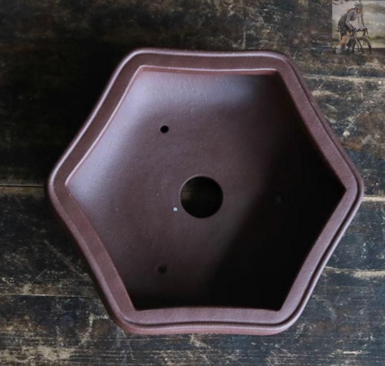 六角鉢 中国宜興 紫砂の鉢盆栽鉢 植木鉢 小品盆栽鉢 大品盆栽鉢 - メルカリ