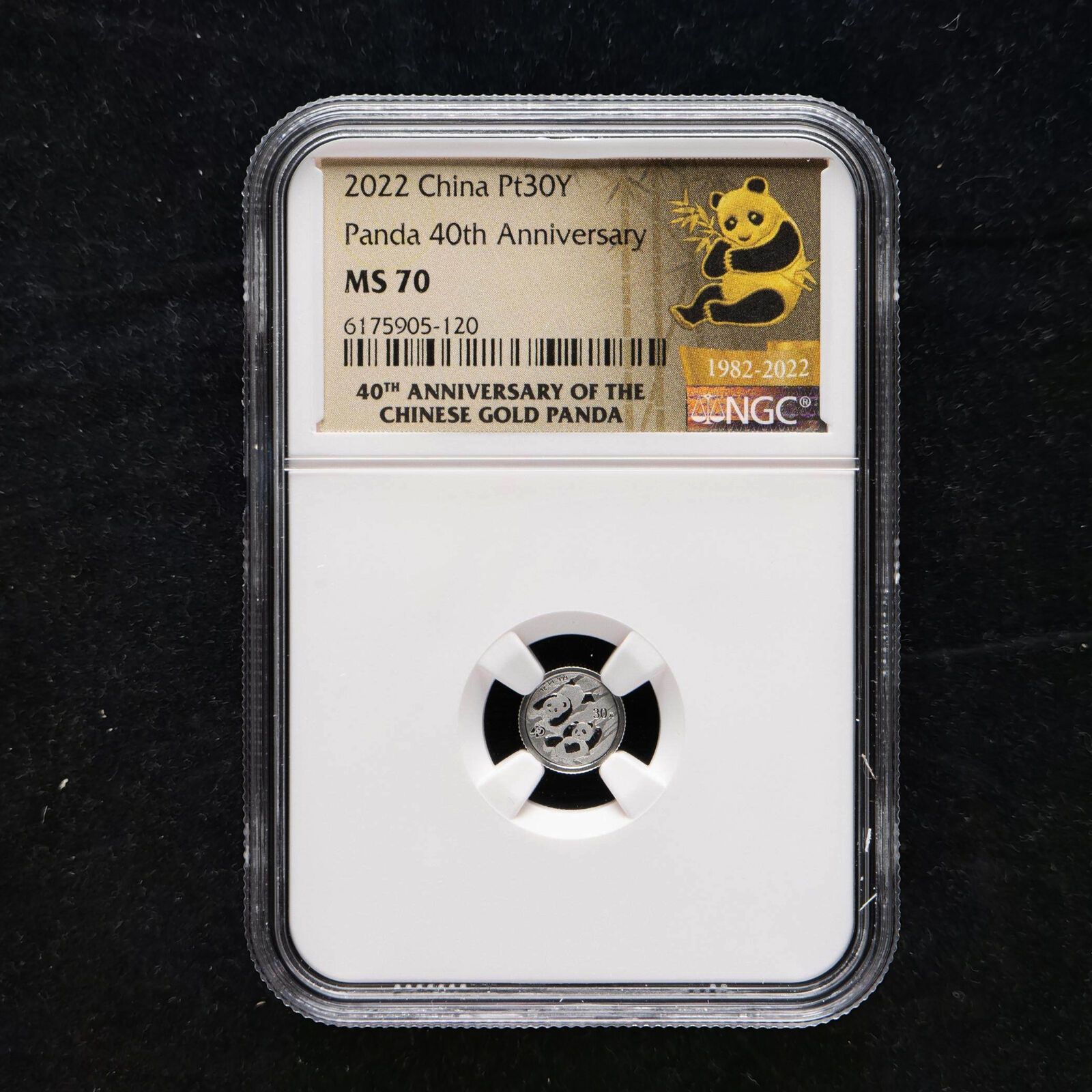 2025 China 30 Yuan 1 g Platinum Panda Coin NGC MS70