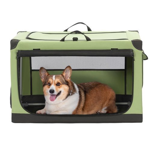 昔の手彫職人製作】 干菓子型「貝3種」 45個取り パン 紙袋