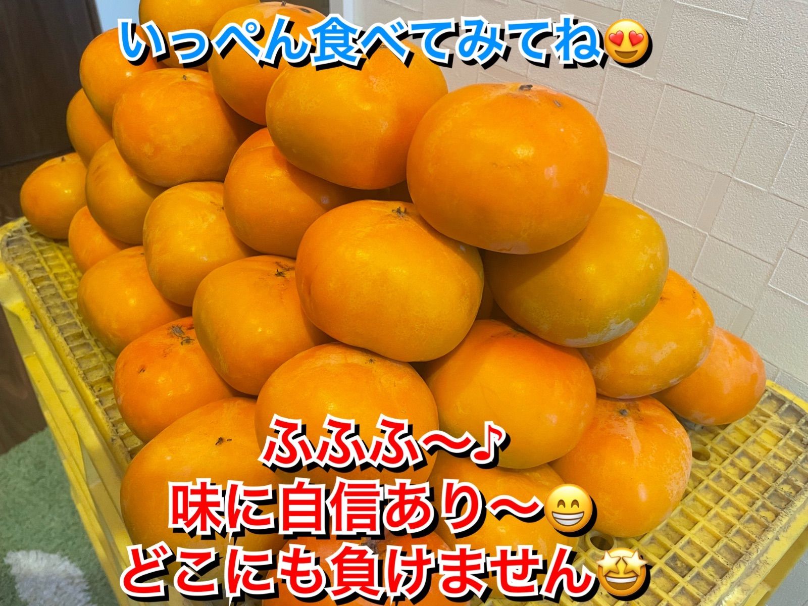 予約注文 9月20日ぐらいから 柿 箱込 5キロ 刀根柿 種無し 家庭