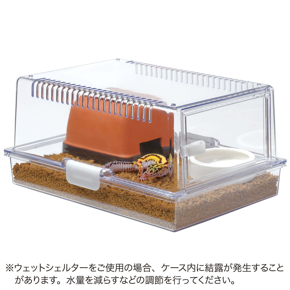 スドー レプティギア