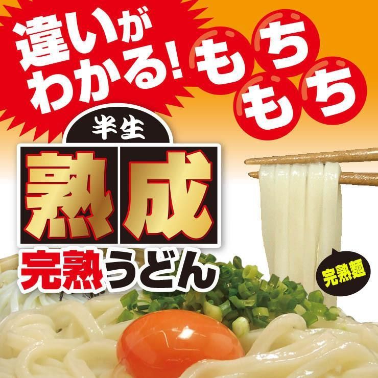 20時間熟成 半生 並麺 讃岐うどん つゆ付きセット 便利な個包装 750g 送料無料　A36