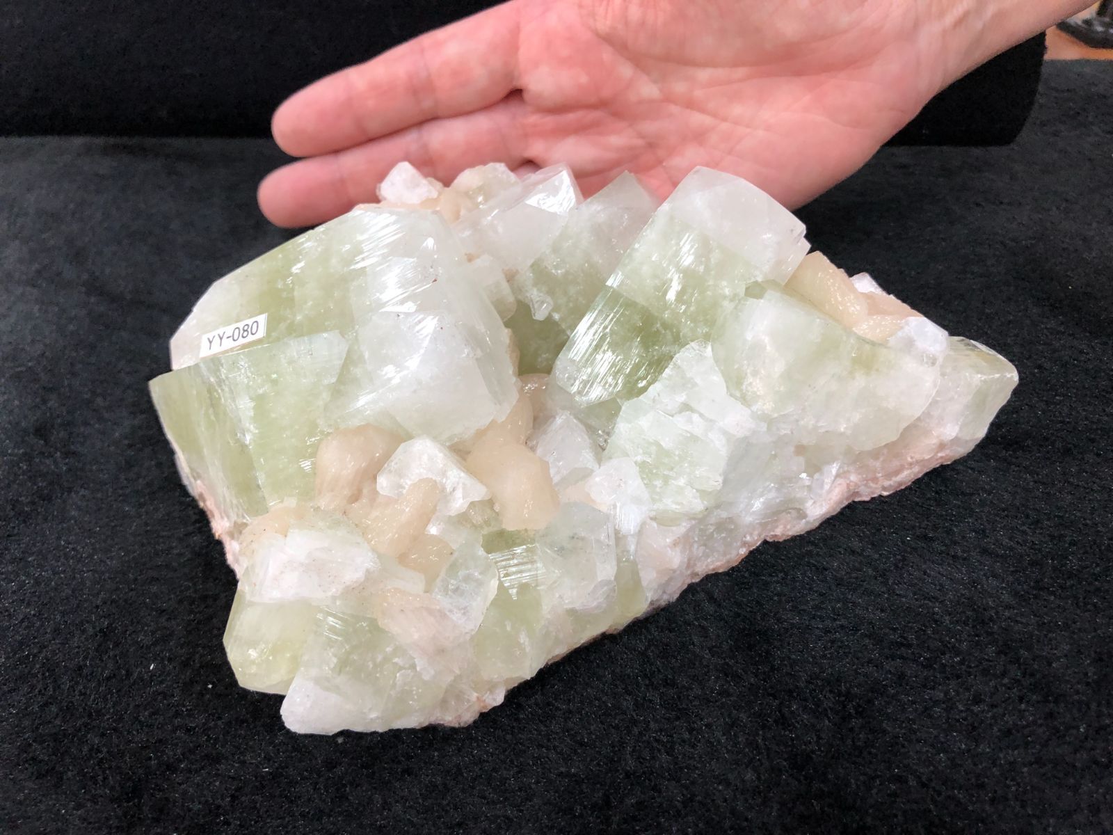 沸石/ZEOLITE