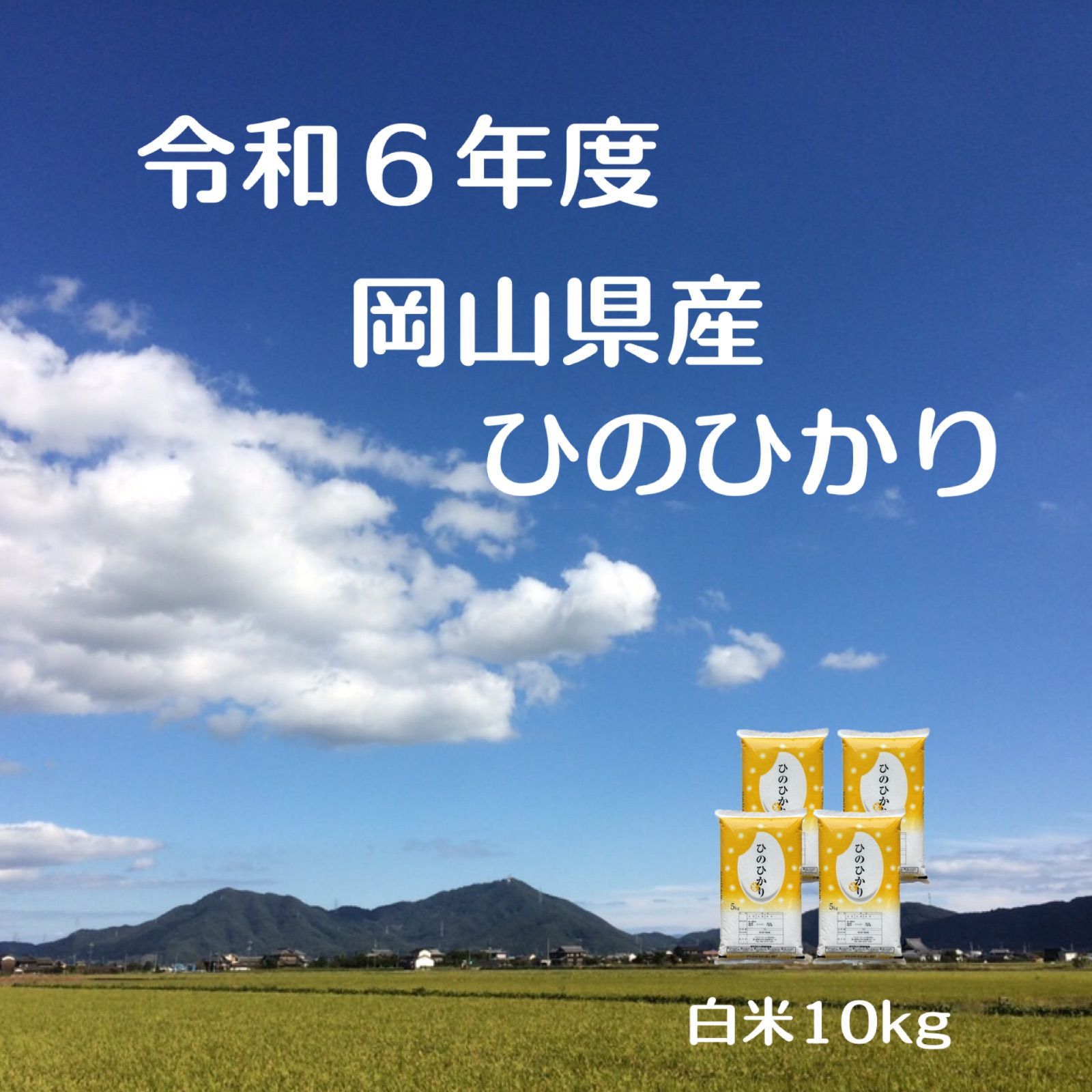 生産者直送 令和６年度 岡山県産 ひのひかり 白米 20キロ