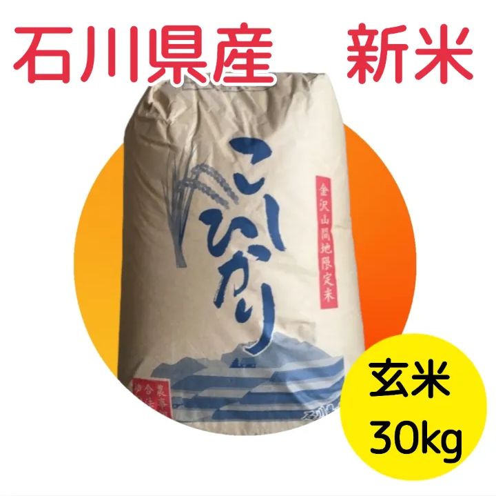減農薬石川県産コシヒカリ 玄米30kg - 食品