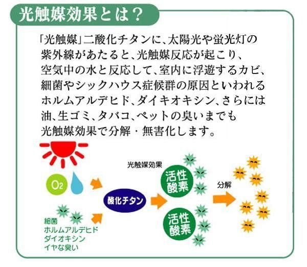 スリムロールスクリーン マグネットタイプ 幅60×高さ180cm グリーン NEXPOTALLINN_EU