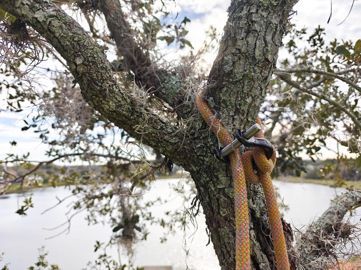 ノッチCEクイックシャックル 99706