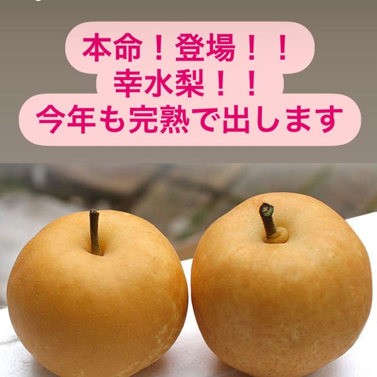 のサムネイル