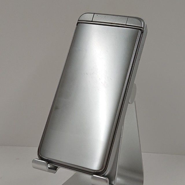 ユッカ ロストラータ 発根済 TR17 ユッカ ロストラータ 発根済 TR17