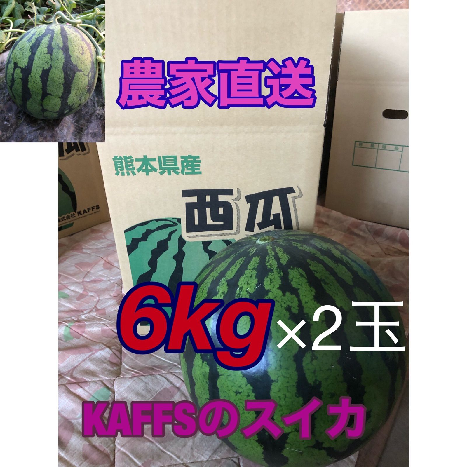大玉スイカ6kg2個入り 熊本県菊池産 西瓜