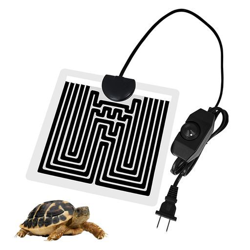 ブランデー ビスキー バイセンテナリー フランス革命200周年 700ml