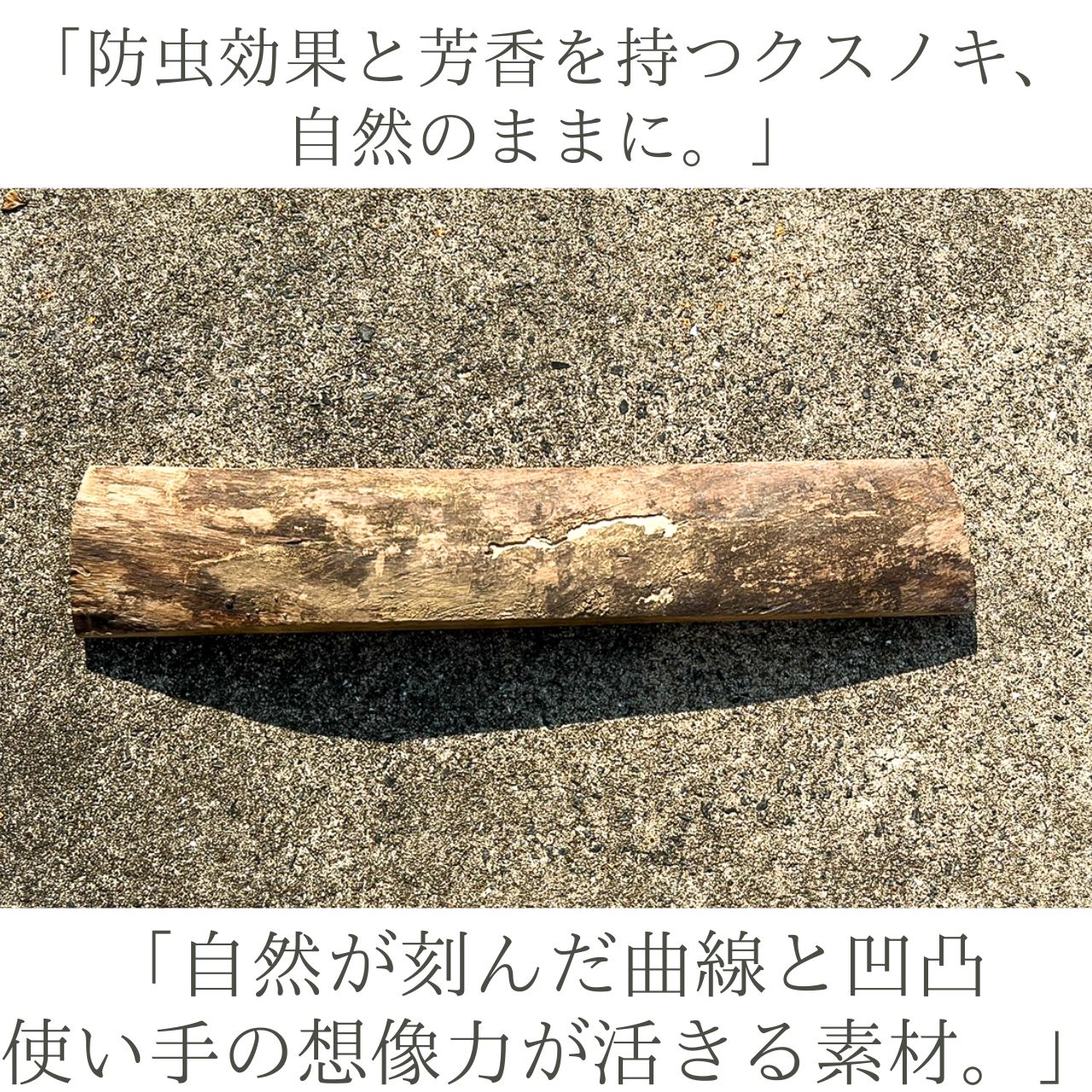 材料・資材 天然クスノキ一枚板｜無垢材｜ハンドメイド・彫刻・DIY素材に