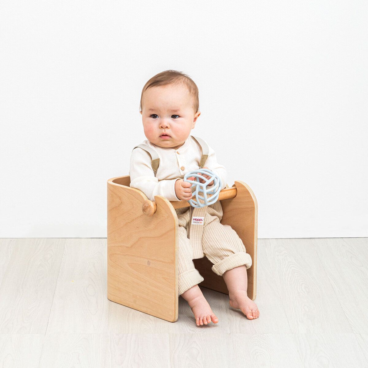 クリスマスロース ソレイユdd斑入り株分け クリスマスロース ソレイユ