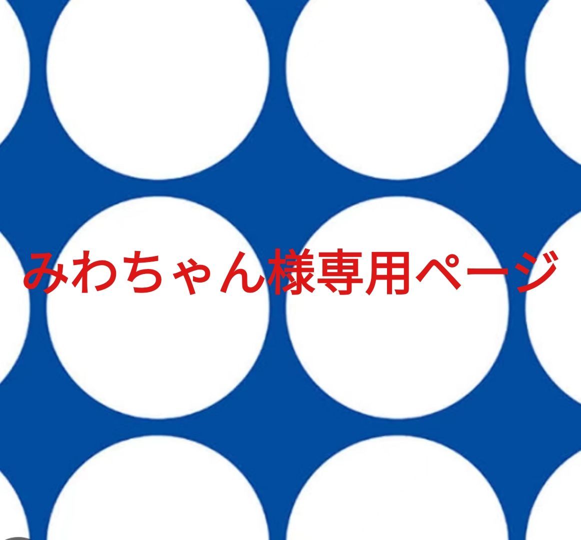 みわちゃん様専用ページです。 - メルカリ