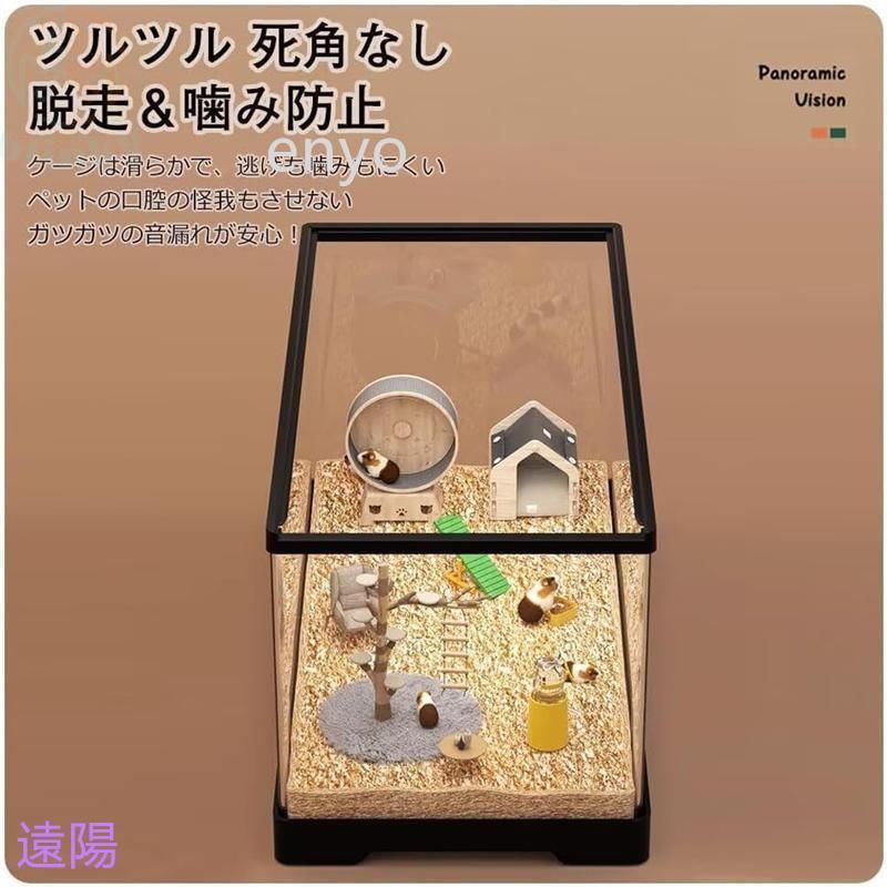 ゴールデンハムスター モルモ