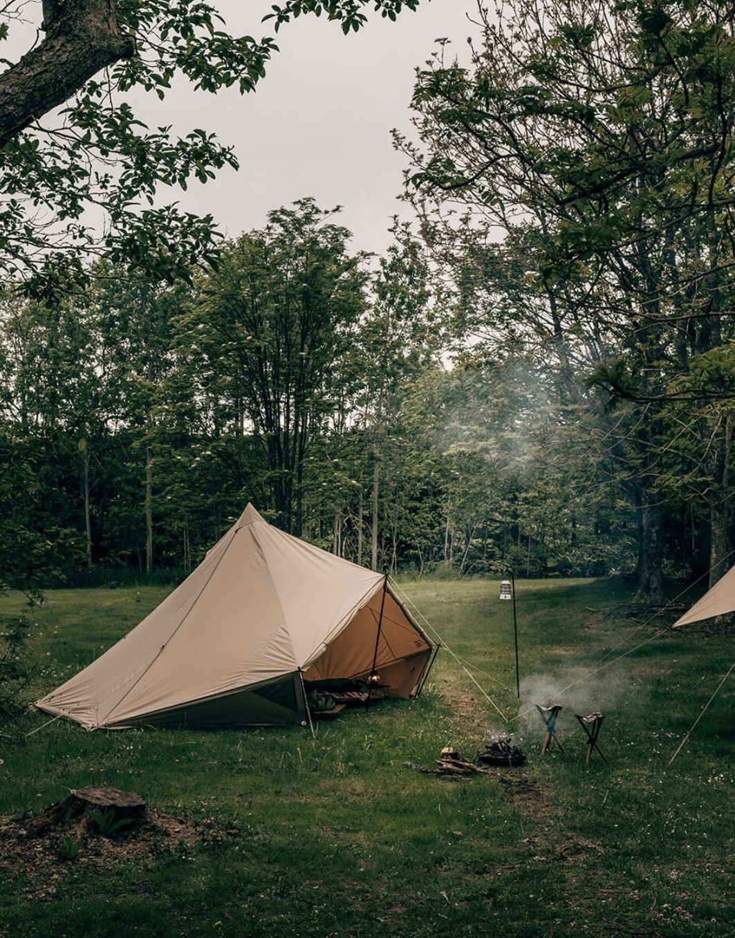 SABBATICAL サバティカル モーニンググローリーTC Sabbatical