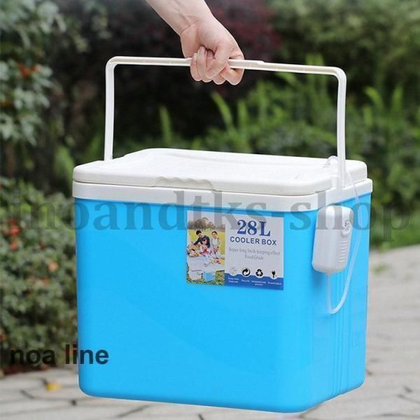 6L
