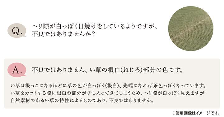 レヴィン