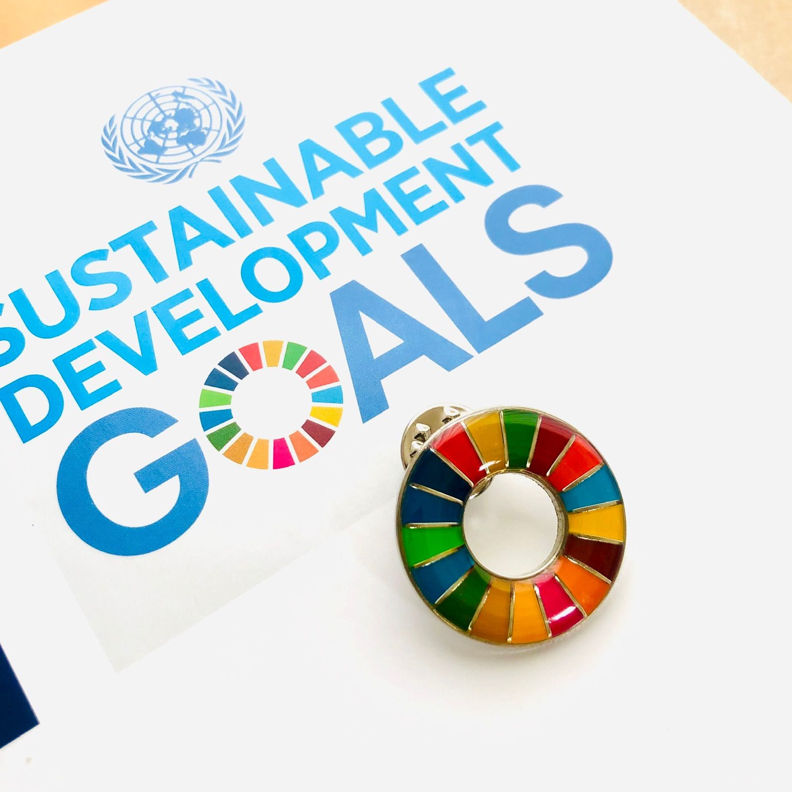 【国連本部純正品】10点　SDGs  ピンバッジ　【新品未使用】 SDGs バッジ 本物 ピンバッジ 正規品 国連本部限定 丸みのある
