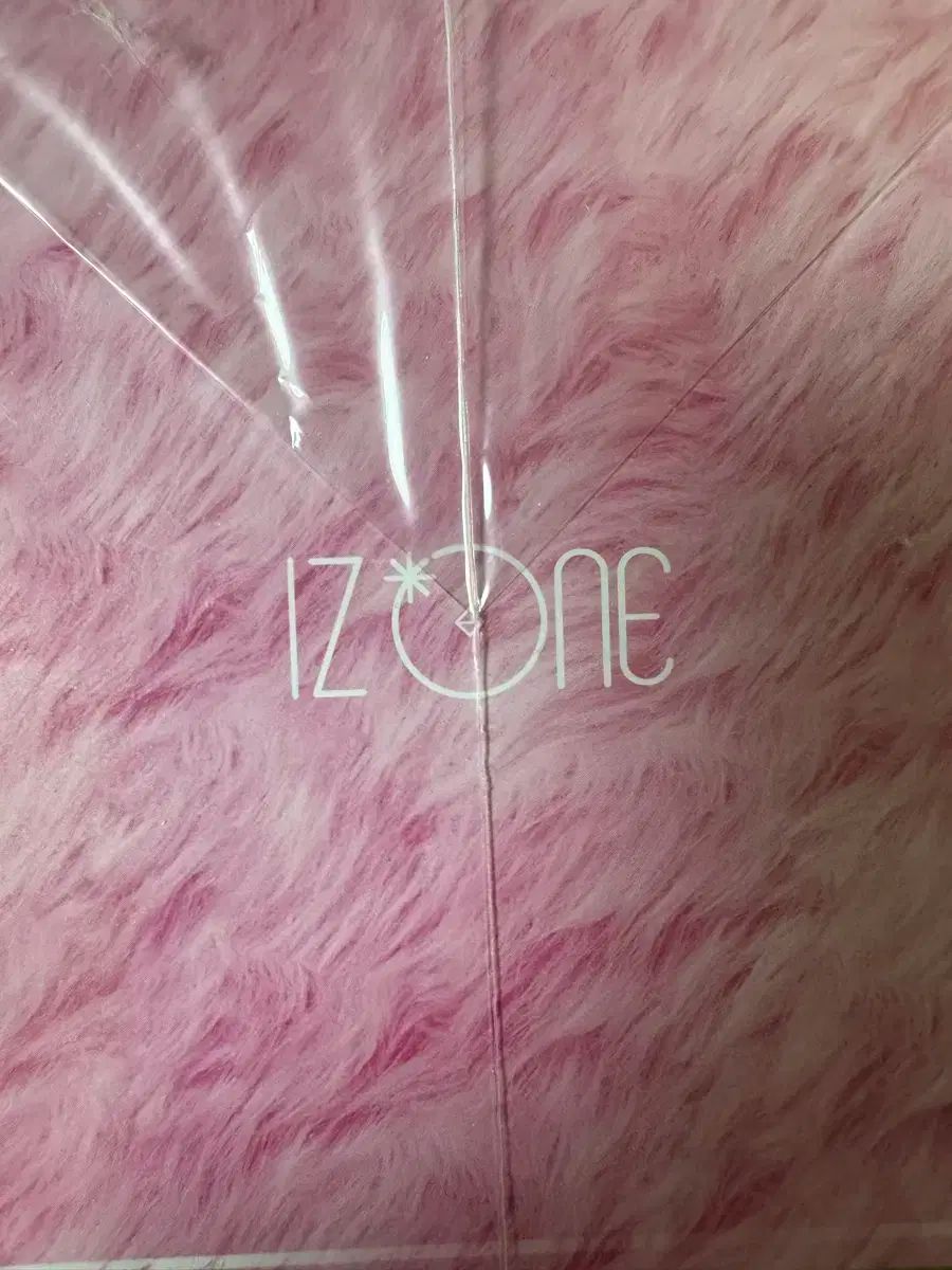 アルバム 吸血鬼