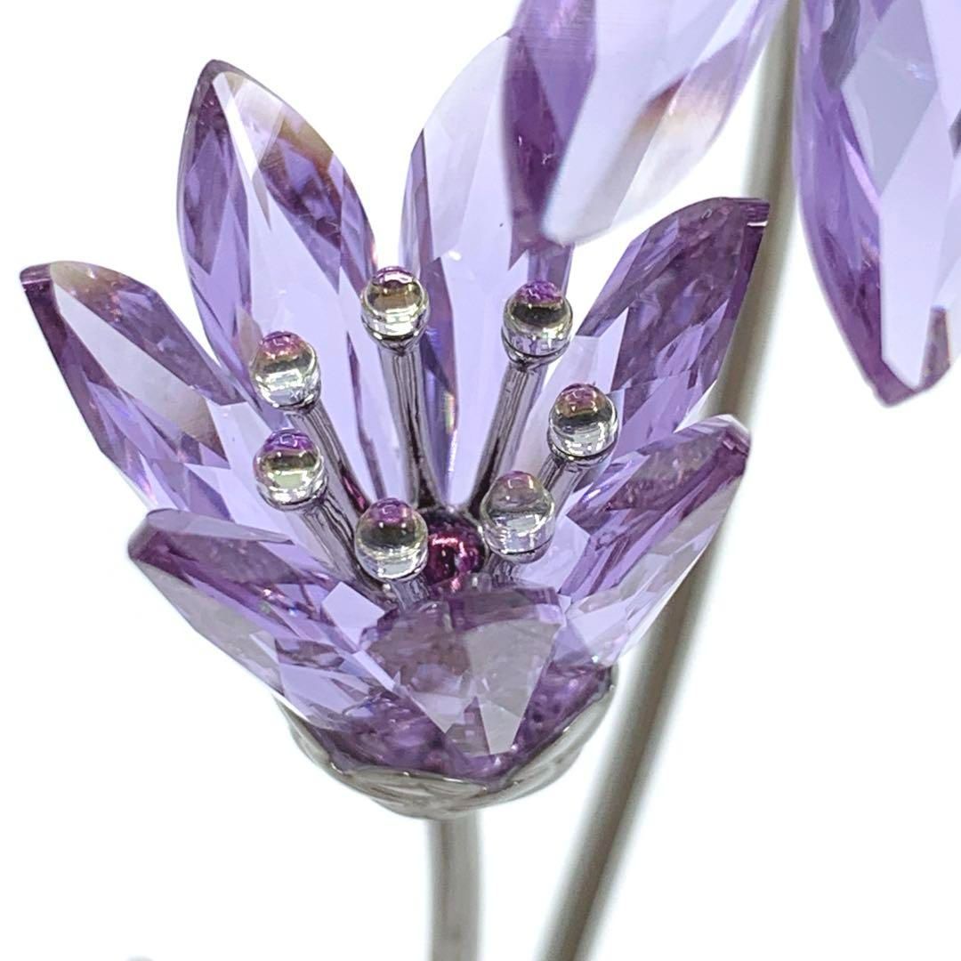 ドリナ バイオレット