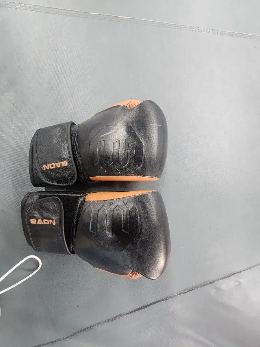 ボクシング ポスター 岩佐亮祐vsリチャード 赤穂亮vsガルシア 2025年