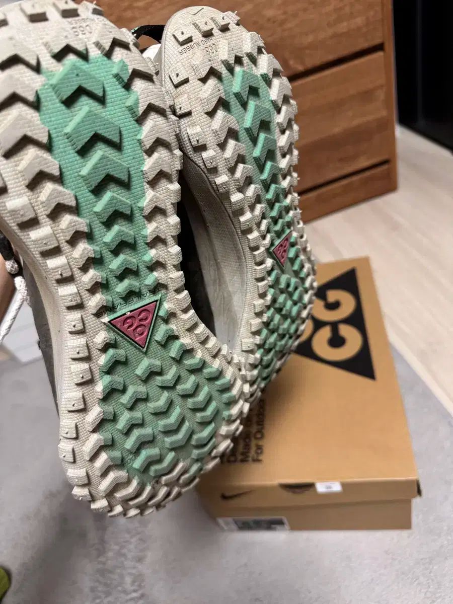 NIKE ナイキ acg マウンテン フライ se