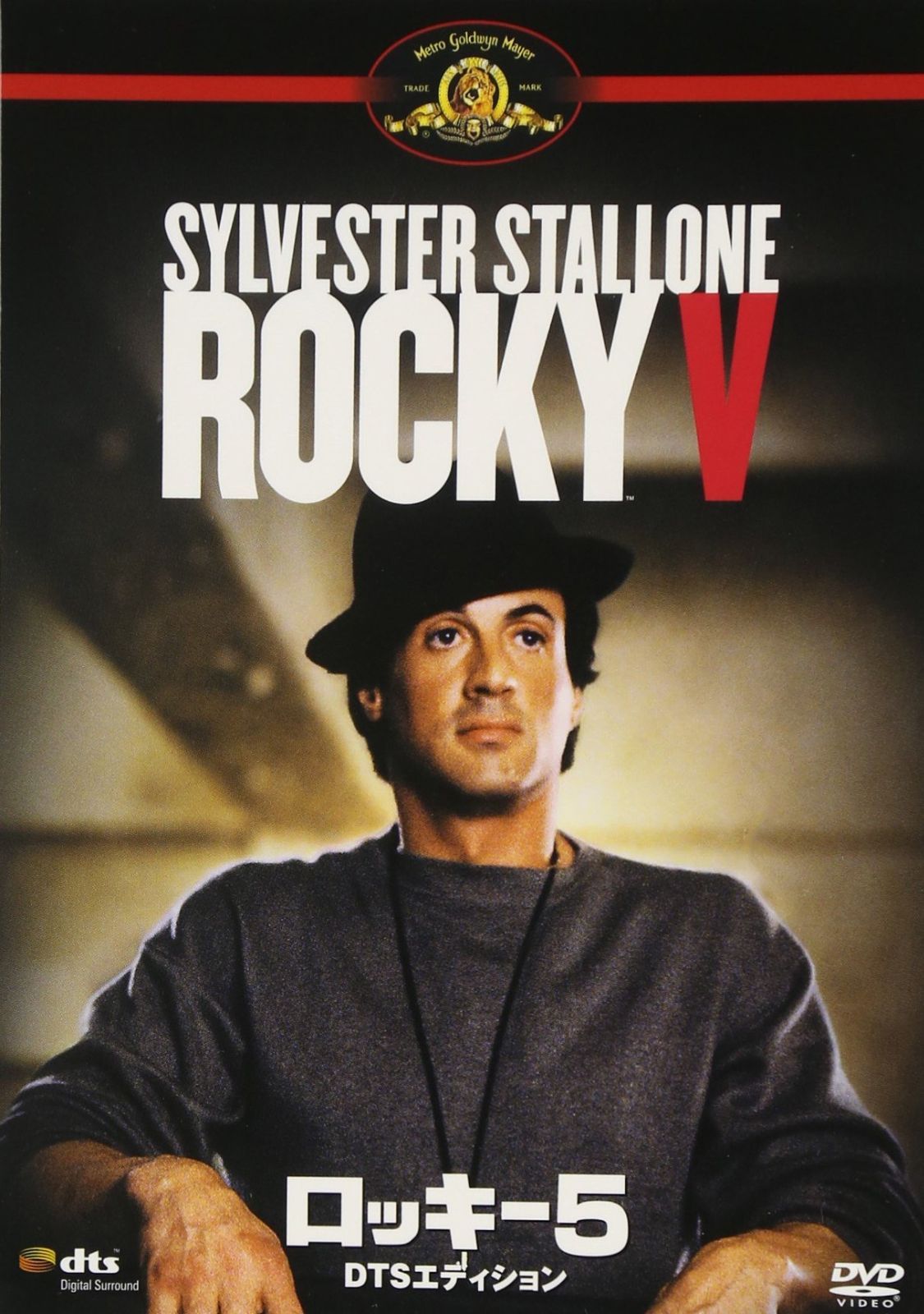 ロッキーザファイナルDVDガウン付き ロッキーザファイナルDVDガウン