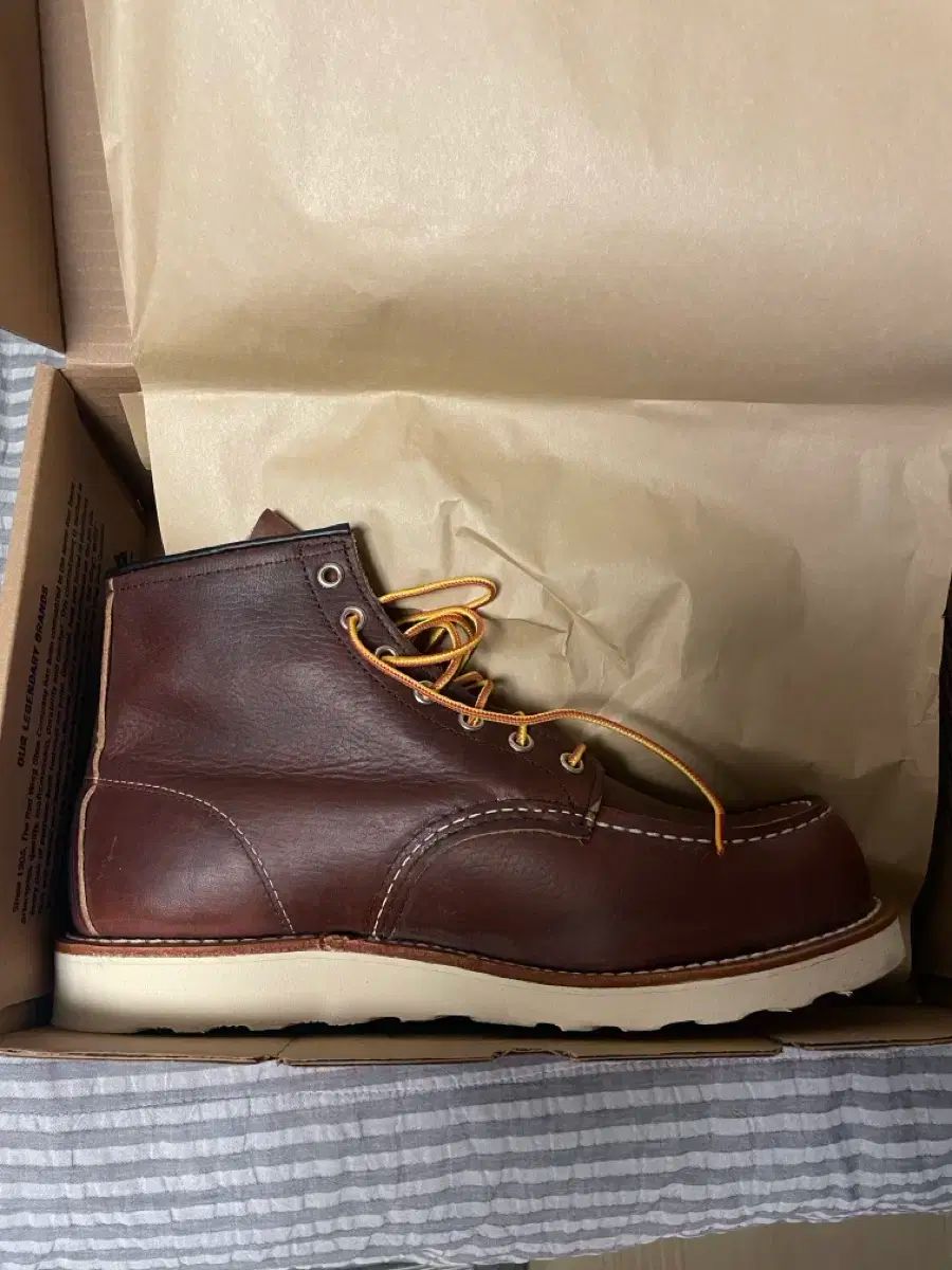 RED WING レッドウィング 6 インチ モックトゥ 8138 ブライアーオイルスリック