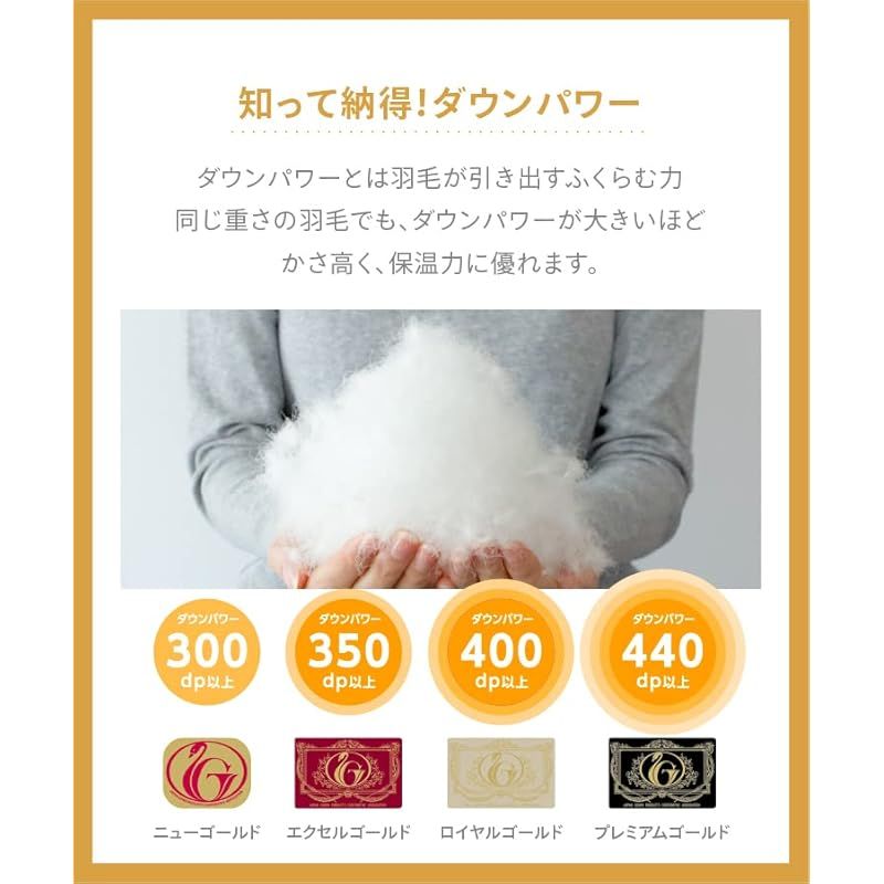 肌掛無地ニューゴールド アイボリー