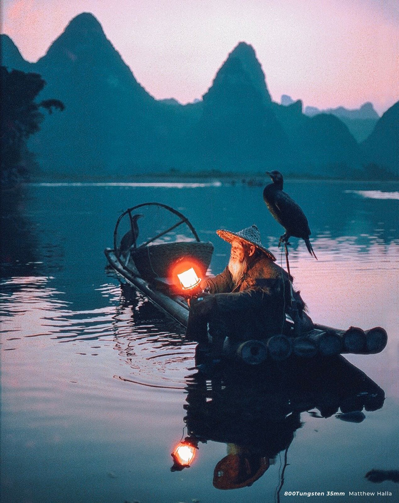 Cinestill 800T