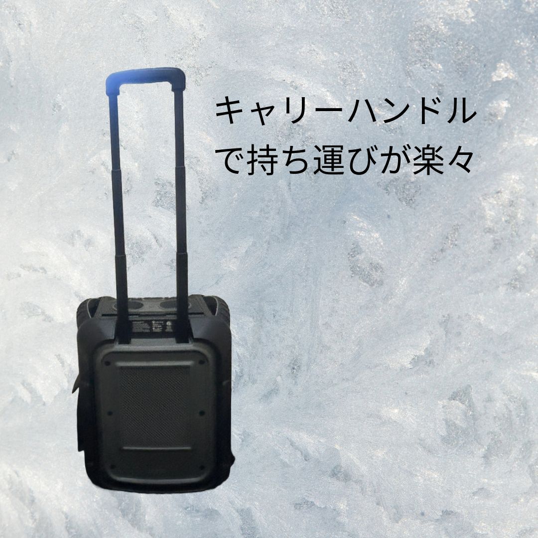 ECOXGEAR 屋外 100W ポータブル スピーカー 本体のみ 充電不可 - メルカリ