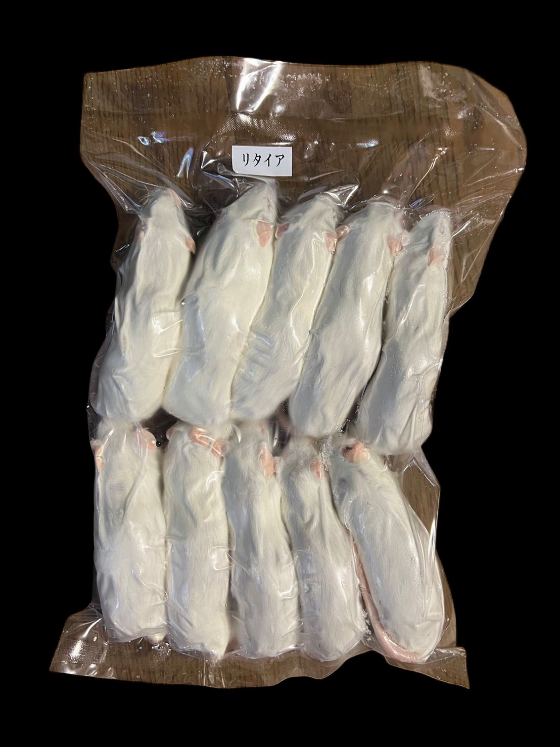 送料無料】国産 冷凍リタイアマウス 50匹