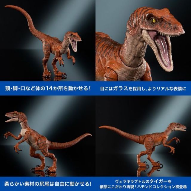 ハモンドコレクション　ヴェロキラプトル　スティギモロク　ジュラシック・ワールド ジュラシック・ワールド ハモンドコレクション スティギモロク