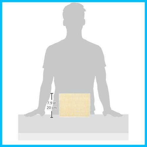 商品 Panasonic パナソニック 交換用微小粒子用フィルター FY-FDD2519AC