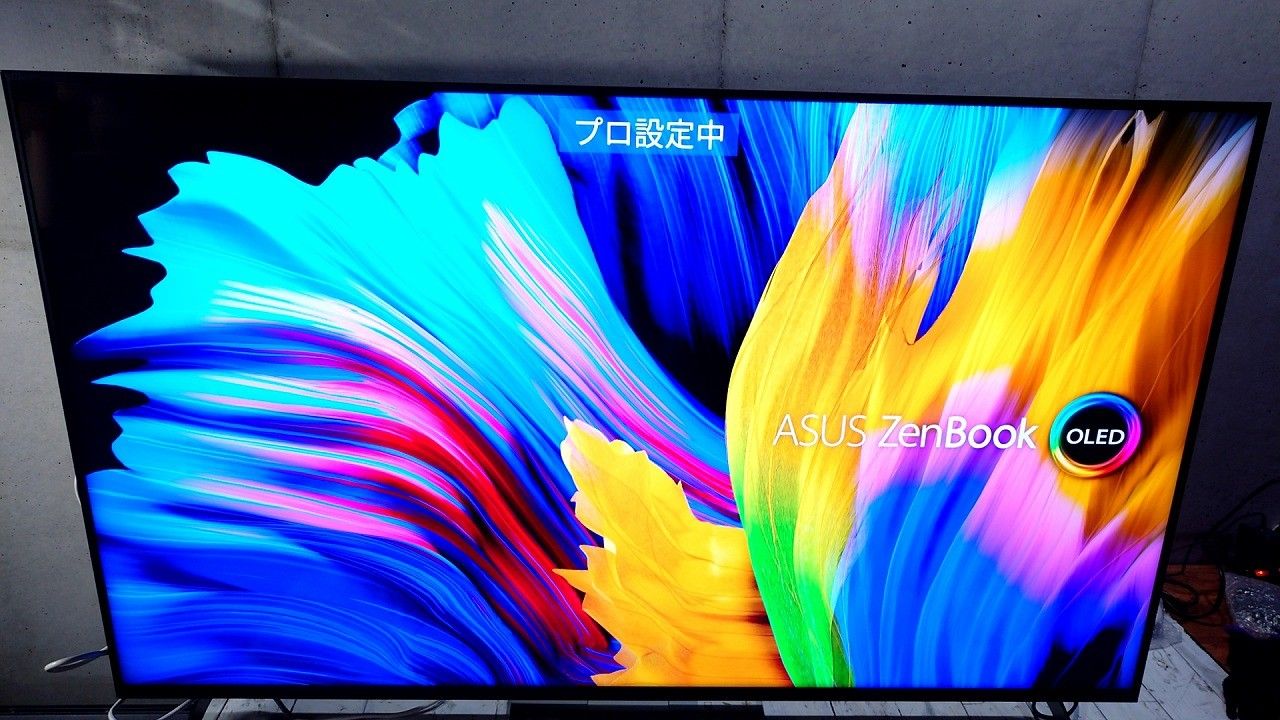 SONY 55V型 4Kチューナーレステレビ BRAVIA FW-55BZ40H 【公式通販】