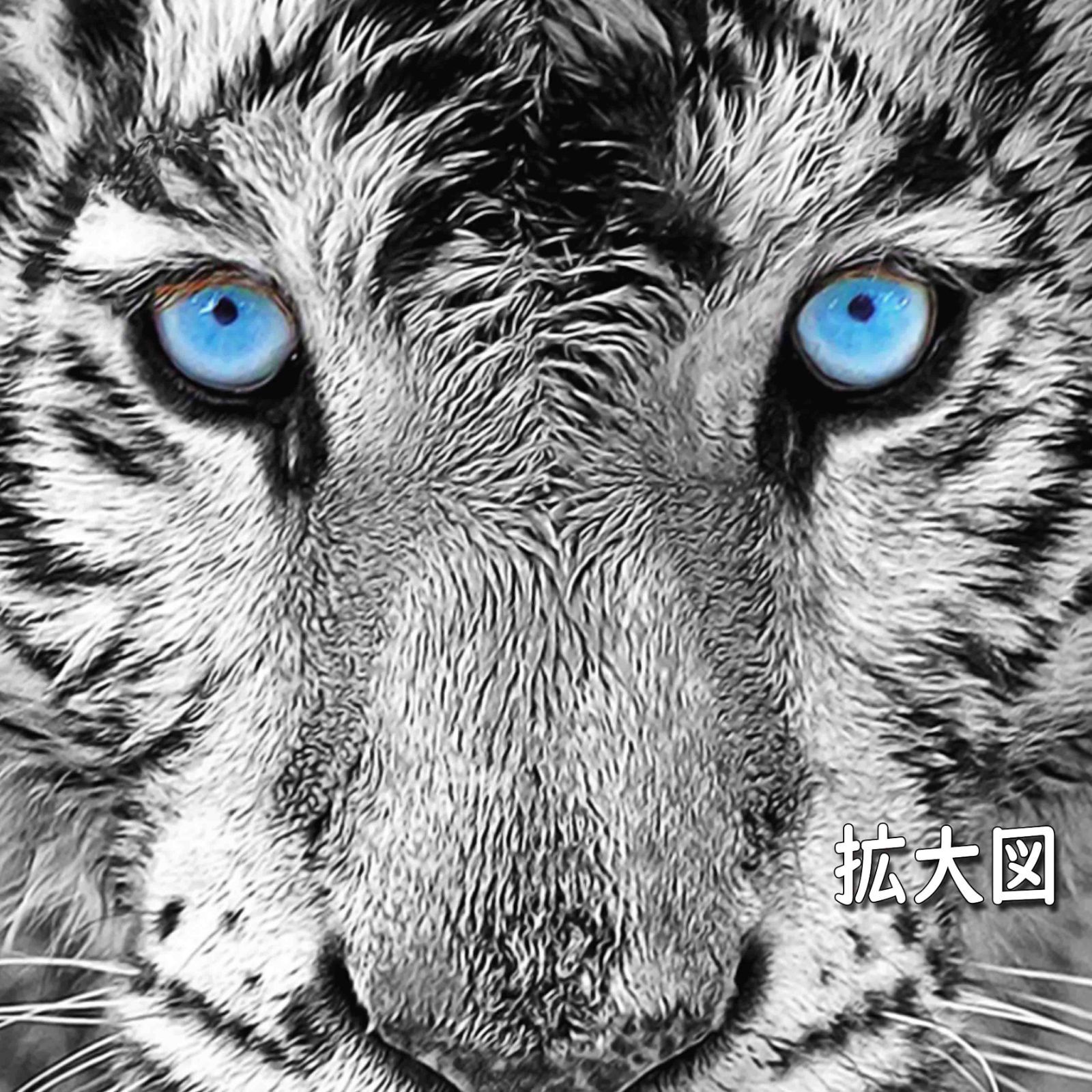 迫力の青い目のトラ オシャレ インテリア ポスター タイガー 北欧