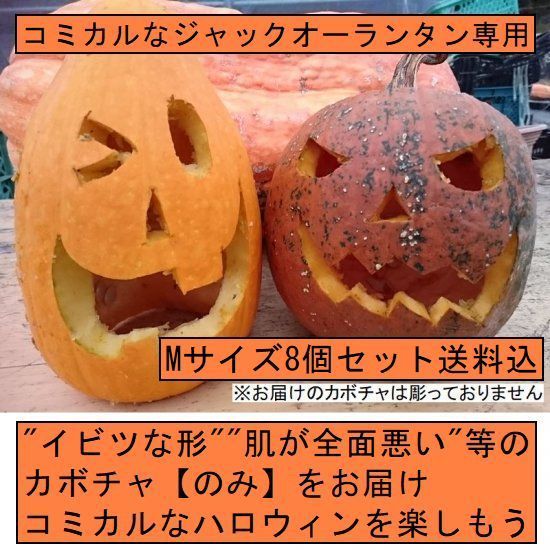 訳アリ】ハロウィン コミカルなジャックオーランタン用かぼちゃ 8個１