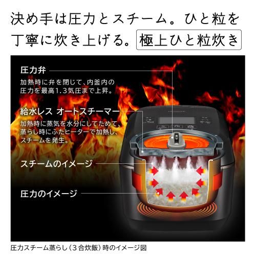 ふっくら御膳 RZ-W100EM-K