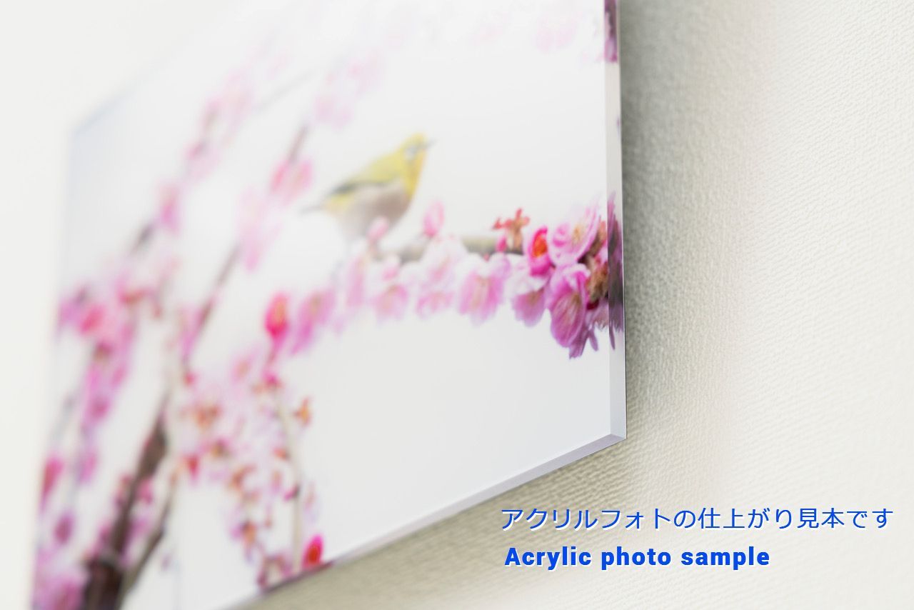 アクリルフォト作品