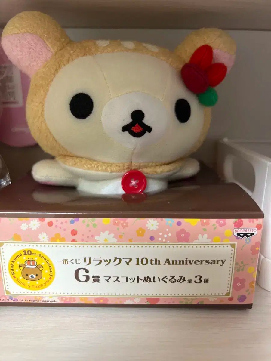 中古】 倉富式縄文ストレッチ 愛の法則 世界で初の癒し療法