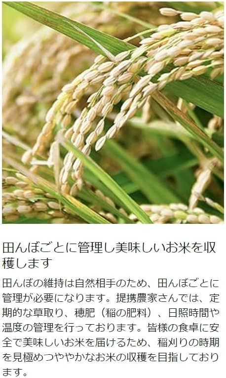 玄米30kg】令和6年産新米 産地直送！ 埼玉県産 コシヒカリ 玄米 30kg (1袋) エコな米袋梱包でお届け おいしいお米 - メルカリ