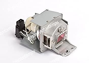  【中古】用プロジェクタ バルブ ベンキュー 5J.J6E05.001 その他