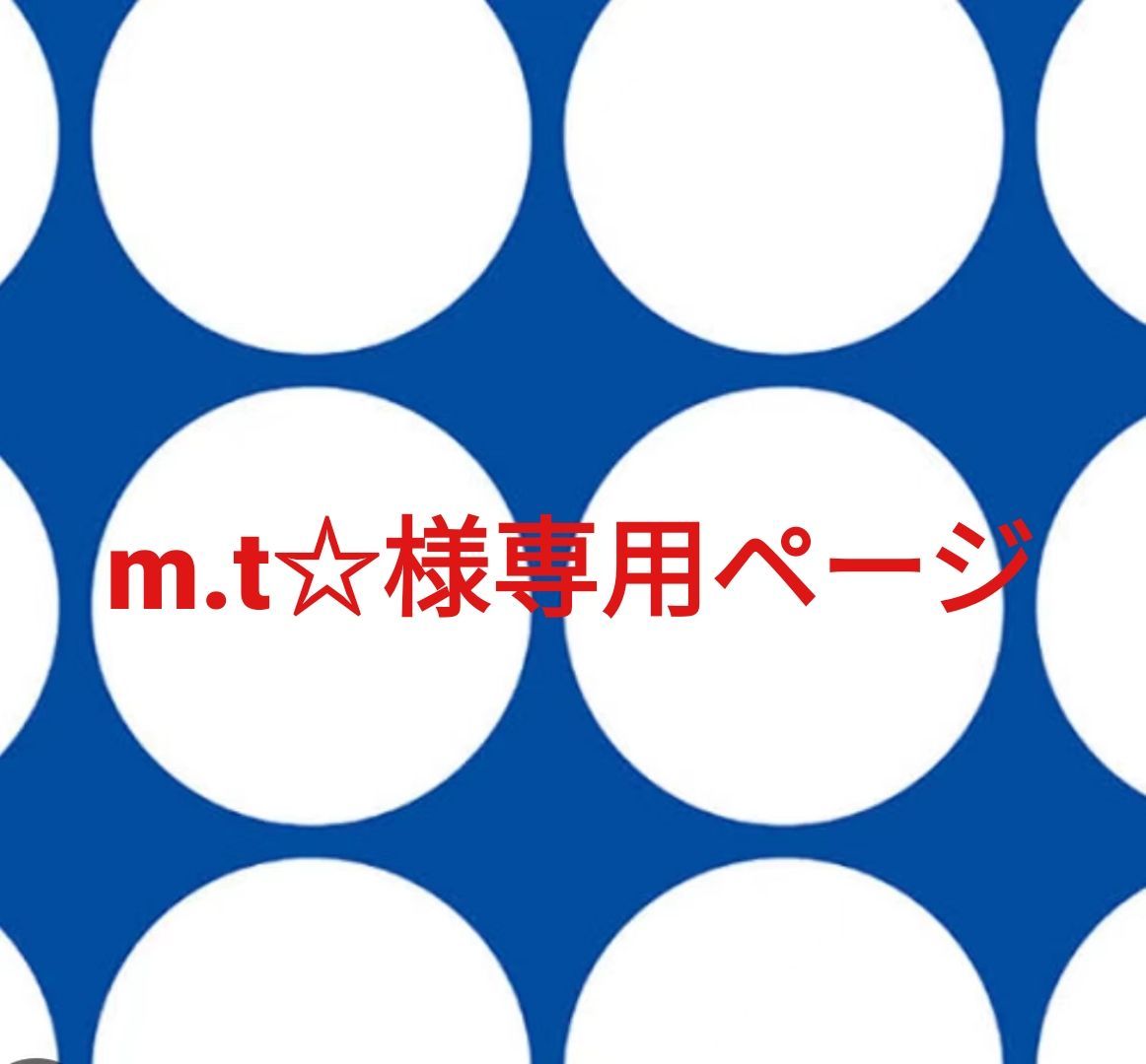 m.t様専用ページです。